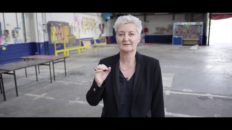 📽  Isabelle Bertolotti, Biennale de Lyon J-15