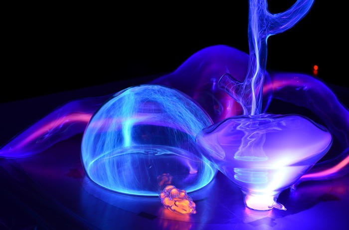 Panorama 21, Le Fresnoy et ses « revenants »