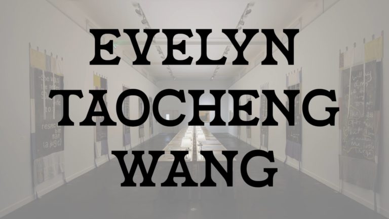 Evelyn Taocheng Wang au Frac Champagne-Ardenne, WEFRAC