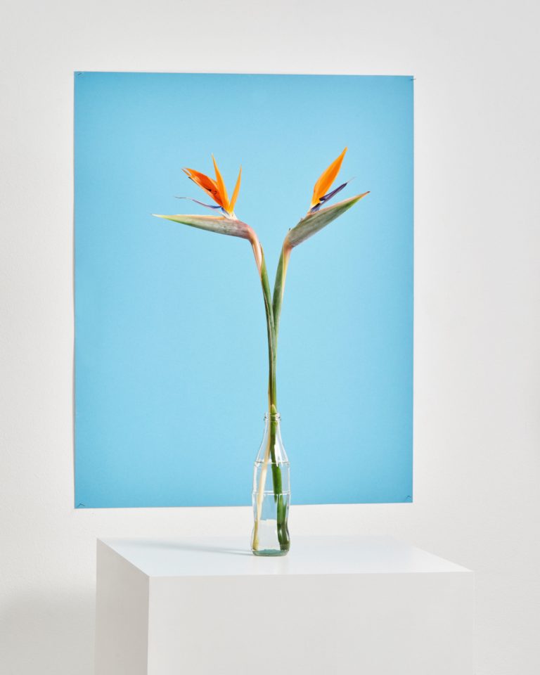 A PPR OC HE, coups de coeur et révélations !