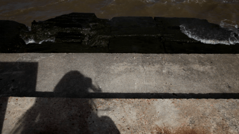 OVNi 2019 : coups de cœur et filatures sur la Promenade !