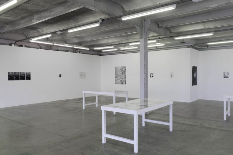 Claire Le Restif, Le Crédac :  «Nous ne pouvons pas être confinés au sens psychologique et intellectuel et devons poursuivre nos efforts (..)