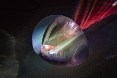 Rachel Rose, Lafayette Anticipations visite en images*