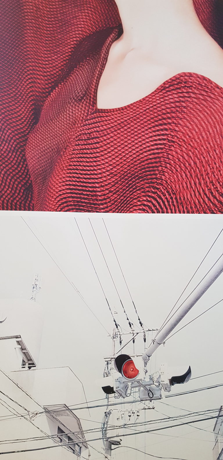 Laura Bonnefous, coup de coeur Promenades photographiques Vendôme 2020 🎧