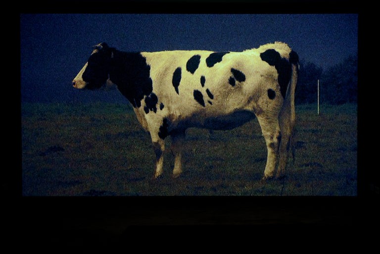 Anne-Charlotte Finel  « Désoleil » au Frac MÉCA, Nuit Blanche, Biennale de Taipei 🎧