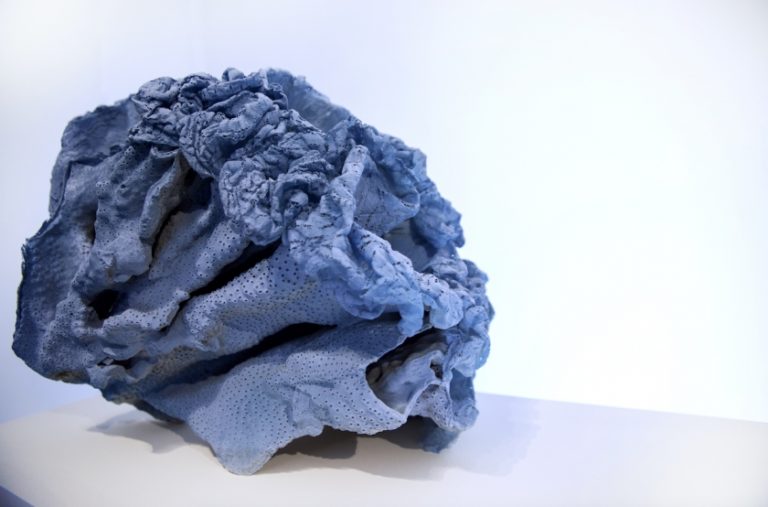 Jérémy Gobé : l&rsquo;art au service de l&rsquo;urgence climatique, Courants Verts fondation EDF 🎧