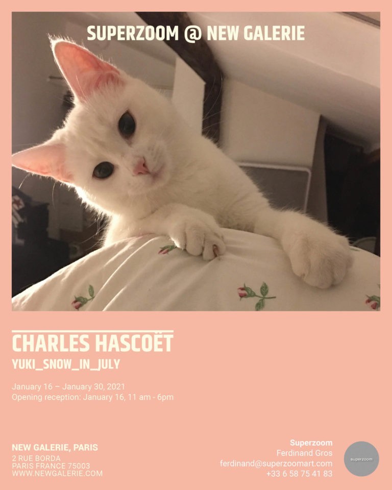 Pendant ce temps en galeries : Charles Hascoët, Laurent Le Deunff, Amber Andrews…Dohyanglee galerie (10 ans), A. S. Bénichou (5), Sémiose, InSitu, Sator