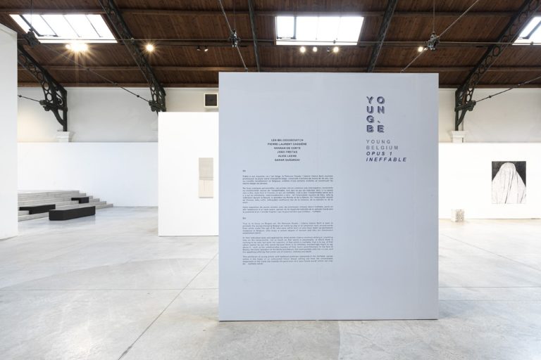 Interview Valérie Bach/La Patinoire Royale : Brafa in the galleries, Young Belgium (Opus 1)