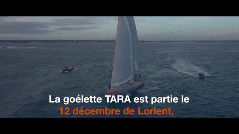 Tara Océan : appel à candidatures, Mission Microbiomes