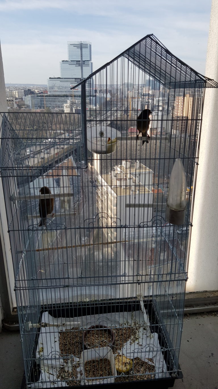 Visite d&rsquo;atelier. Thomas Van Reghem, Poush Manifesto 🎧