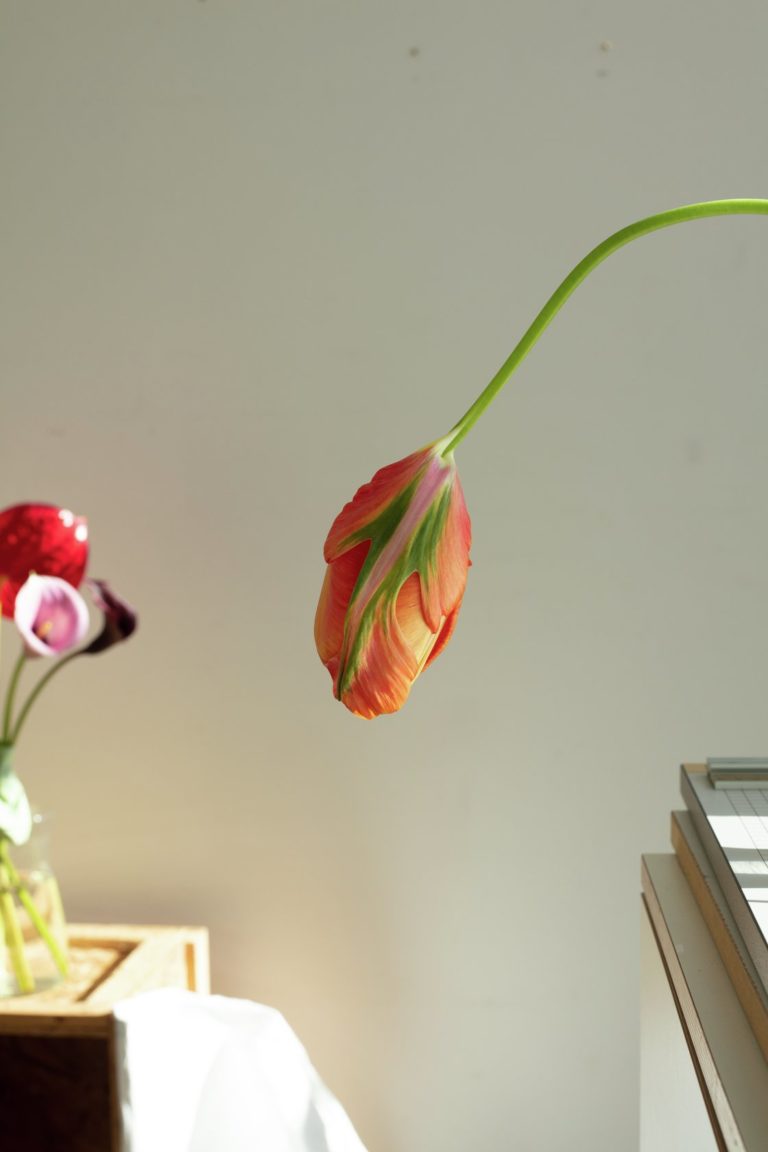 Paris Gallery Week-end : parcours et incontournables