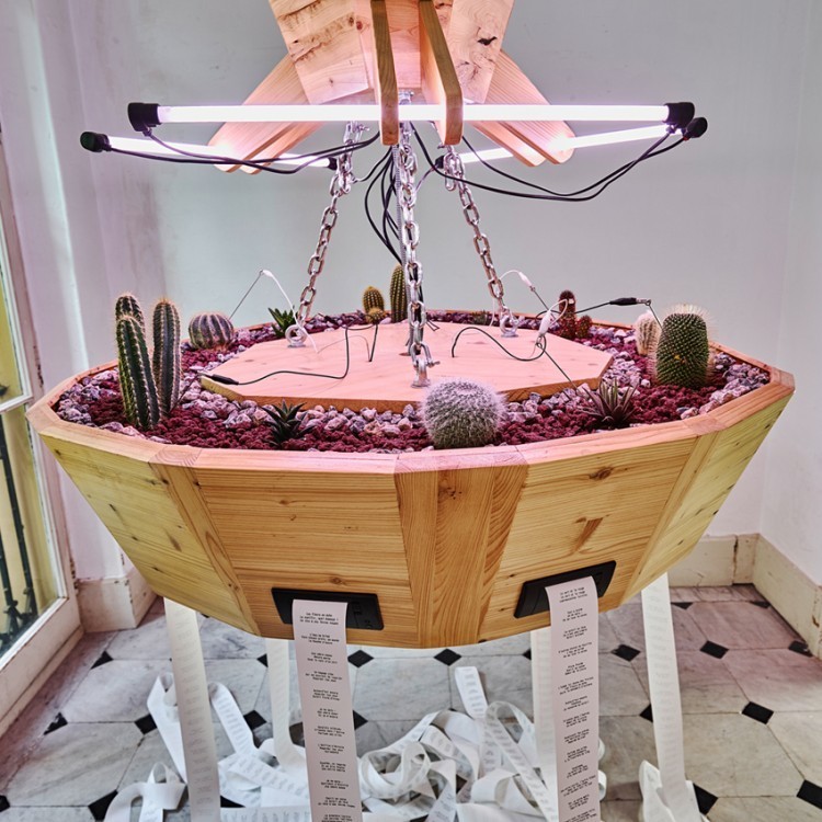 OVNi 2021, « a lion in the room » week-end d&rsquo;ouverture