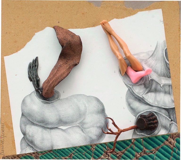 MAMAC Nice : Daniel Spoerri, jongleur et forain !