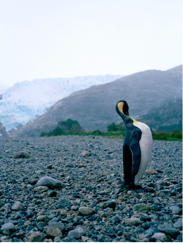Akosua Viktoria Adu-Sanyah, lauréate nouveau Prix Louis Roederer de la Photographie pour le développement durable
