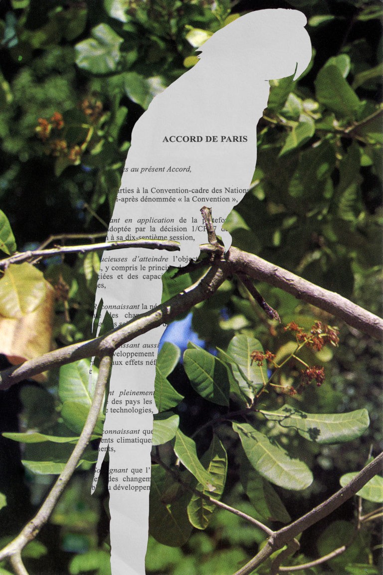 Interview Quentin Bajac, Jeu de Paume : IMAGE 3.0, Fata Morgana, Jean Painlevé et Marine Hugonnier