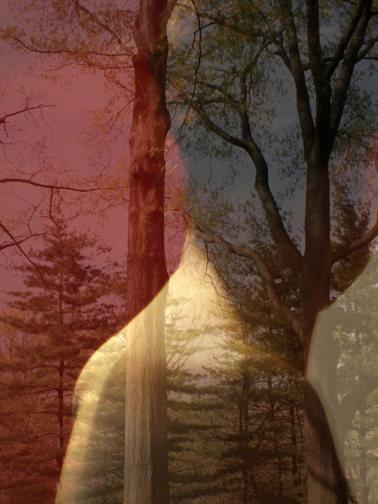 Promenades photographiques de Vendôme, 18ème édition : ¬In_situ paysage(s)