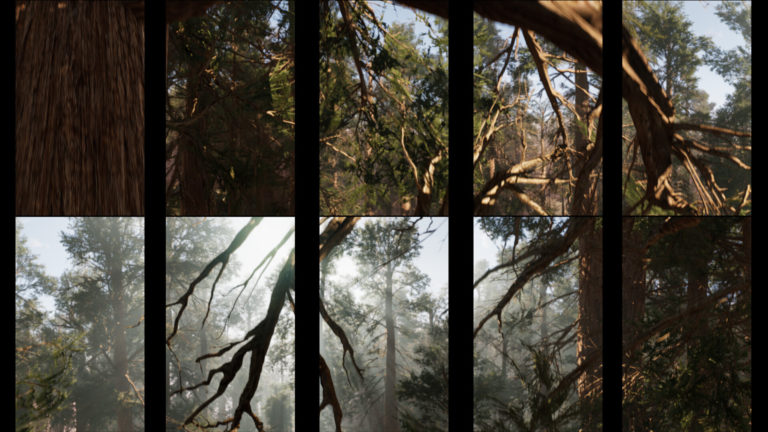 La Forêt Magique, Lille 3000 Interview Régis Cotentin Palais des Beaux-Arts 🎧 