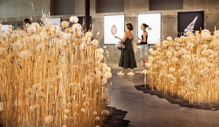 Graines, l&rsquo;exposition ! CENTQUATRE-PARIS