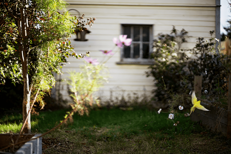 Nathalie Chapuis & Philippe Séclier, Atelier EXB, Des Oiseaux, Hangar photo art center