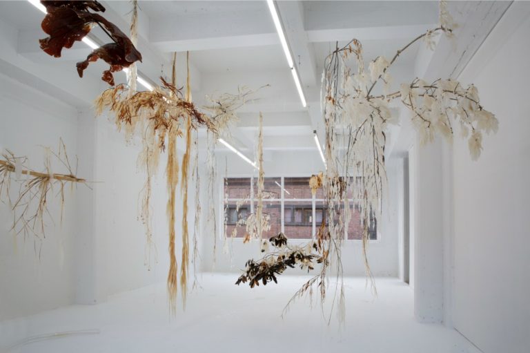 Exposition Symbiosium Cosmogonies Spéculatives, Fondation Fiminco X Centre Wallonie-Bruxelles/Paris