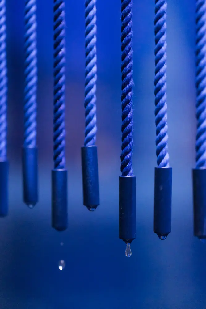 La magistrale « Retenue » de l’histoire par Kapwani Kiwanga pour le Capc