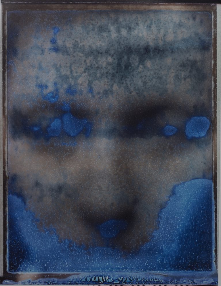 Une saison photographique à la BnF : Interview Héloïse Conesa, conservatrice et cheffe du service de la photographie