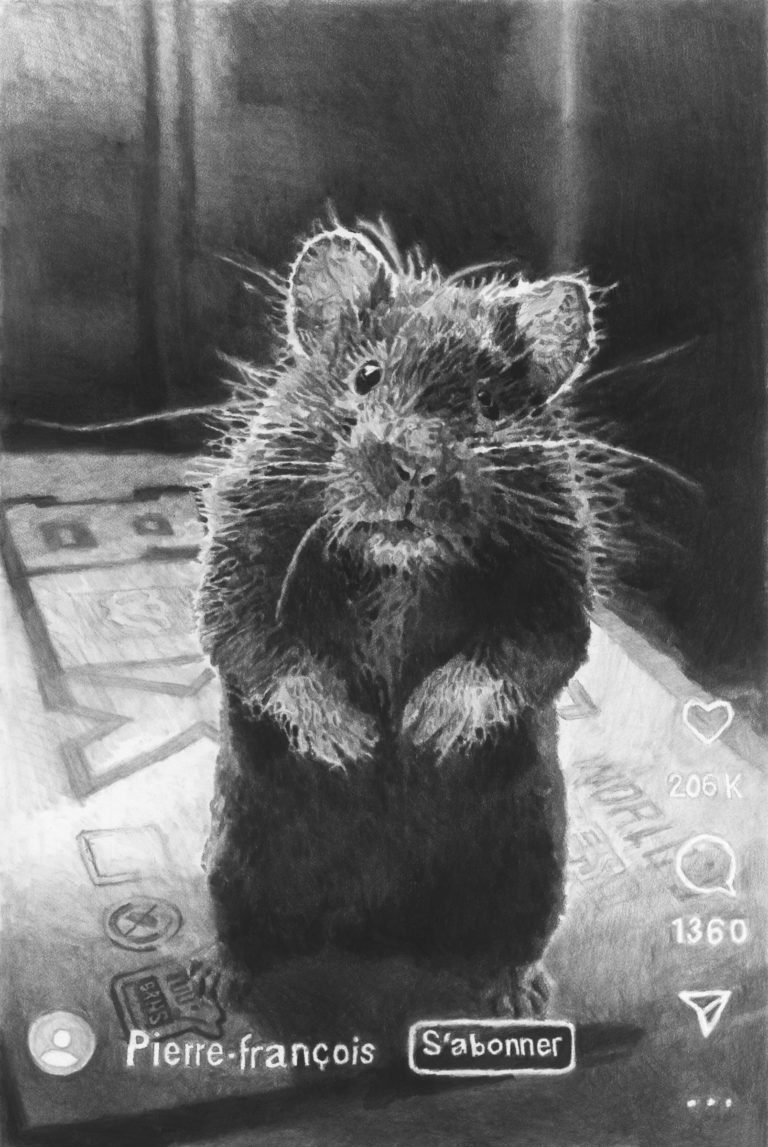 Jérôme Zonder au Casino, Luxembourg « Le dessin agit comme un cubisme mental ou sensationnel d’émotions pures »