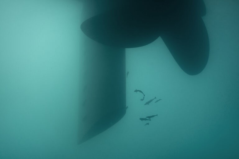 BAD + Bordeaux : Interview Léo Marin, directeur galerie Eric Mouchet (Paris/Bruxelles)