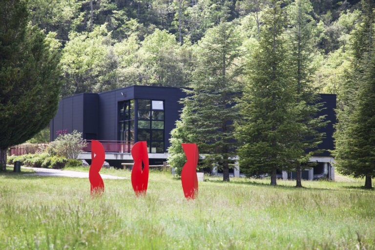 Véronique Collard-Bovy, « Un changement de paradigme important dans ma vie professionnelle »