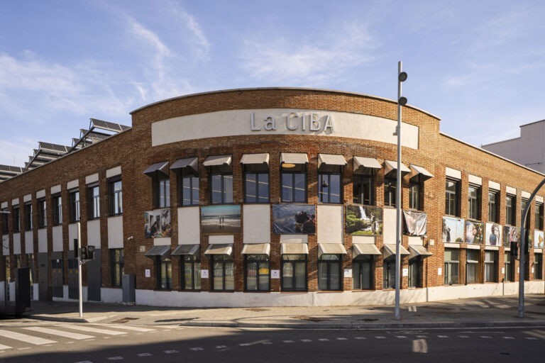 MANIFESTA 15 Barcelona : Hedwig Fijen “Manifesta 15 takes a radical action-oriented position, creating achievable frameworks for inclusion and sustainability” 