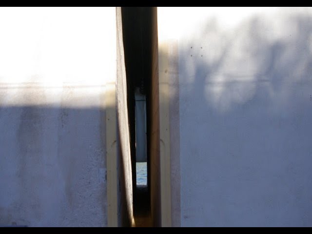 Art-o-rama 2024 : interview Delphine Wibaux 