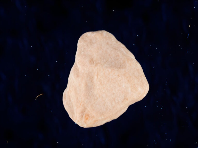 Les 10 ans d&rsquo;OVNi festival : Interview Florian Schonerstedt, Hôtel WindsoR 🎧