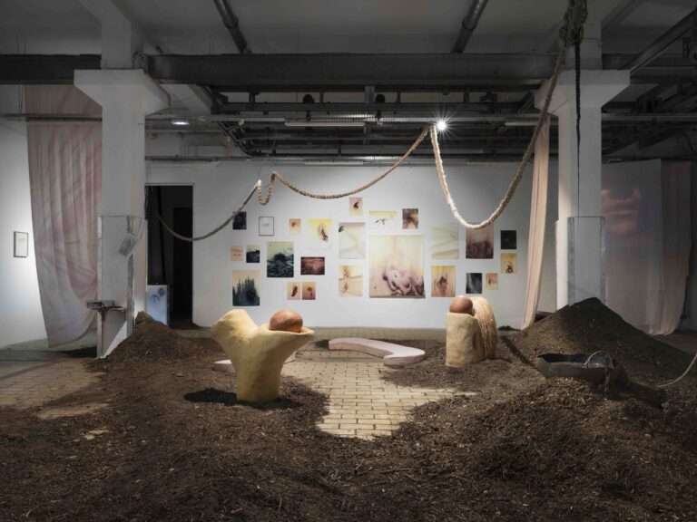 OVNi 2024 : Interview Camille Franch-Guerra, artiste et commissaire « Vie-ves ! Sauvage », LA STATION Nice 