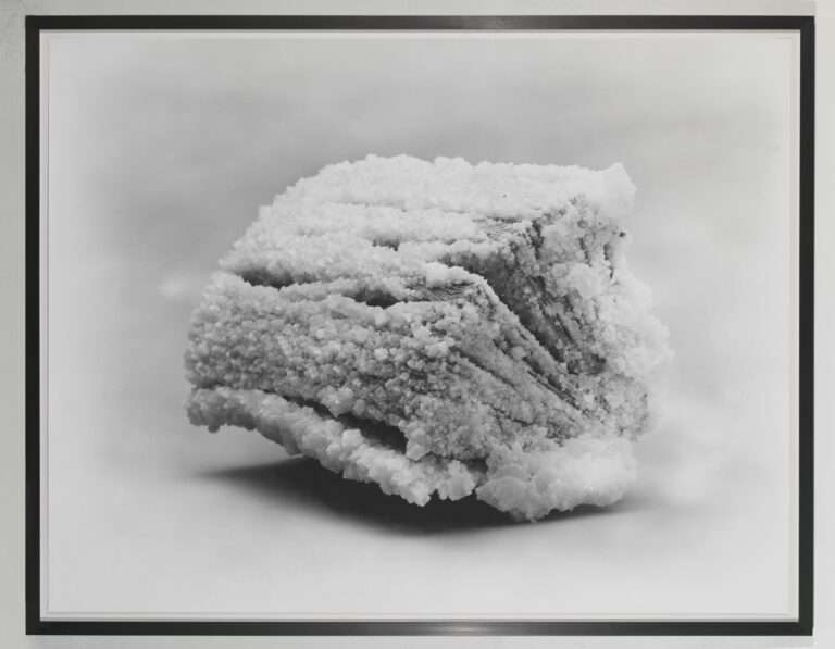 Apocalypse à la BNF par Jeanne Brun : « Un meta-récit pour penser l’expérience du basculement, du lendemain »