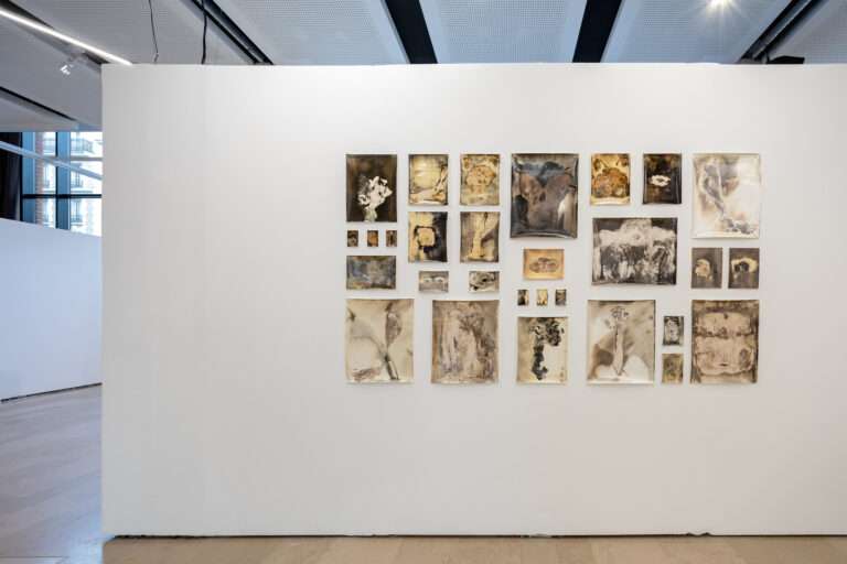 Salon de Montrouge : Interview Fanny Béguély  « à la recherche d’une organicité photosensible »