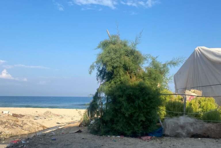 Interview Fanny Gonella, Frac Lorraine : « Faire apparaitre les contours de moments historiques qui ont été mis à l&rsquo;écart ou invisibilisés »
