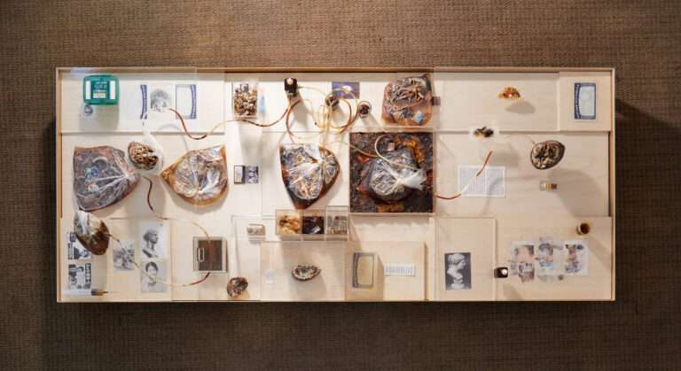 Numa Hambursin, MO.CO. Saison art & science, Françoise Pétrovitch et Jean-Marie Appriou (à venir)