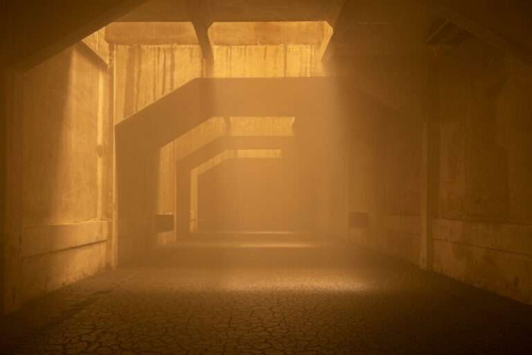 Consortium Museum : Rencontre avec Korakrit Arunanondchai, Franck Gautherot et Seungduk Kim 