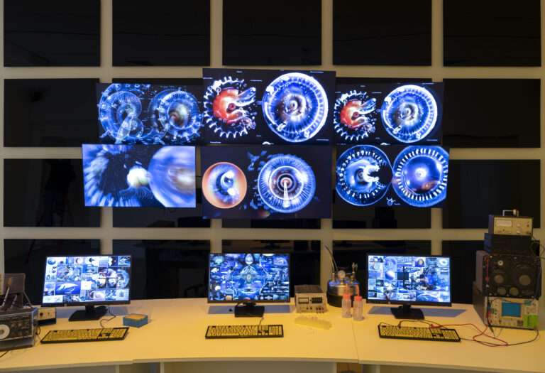 Saison art & science, MO.CO. : interview Alexis Loisel-Montambaux, co-commissaire 