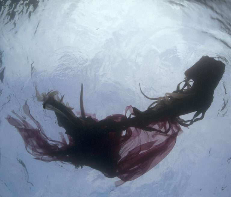 Biennale des Arts et de l’Océan, Nice : Interview Hélène Guenin, commissaire, directrice de la Fondation Yves Klein 🎧