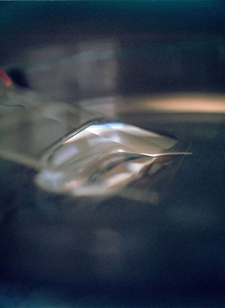 Art-o-rama 2025 : Interview with sissi club : « Our model emerged as a response to necessity. »