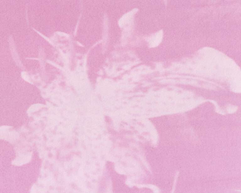 POOYA ABBASIAN, lauréat 2025 LEE UFAN ARLES & GUERLAIN Prix Art & Environnement