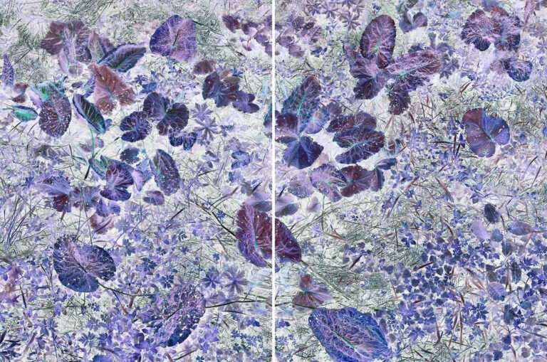 Chaumont-Photo-sur-Loire, 8ème édition : Interview Chantal Colleu-Dumond 